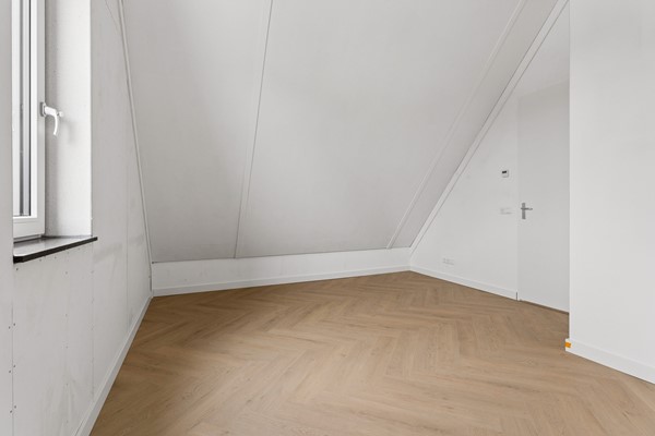 51-Moerasorchidee 13 - Lelystad.jpg